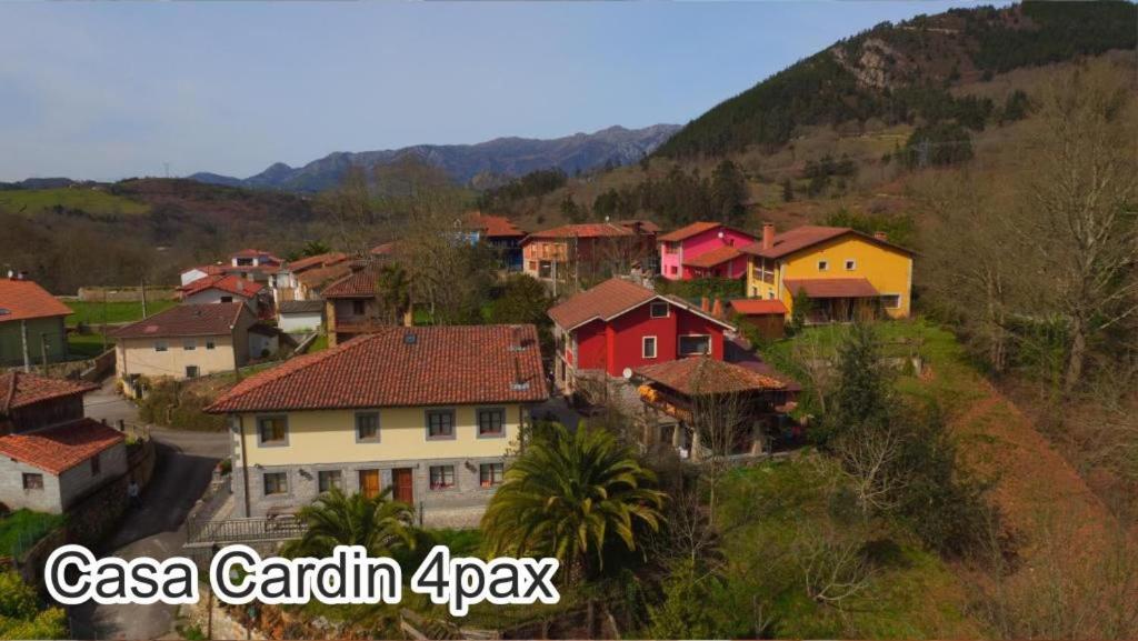 Casa Cardin Apartment Cangas de Onis Luaran gambar